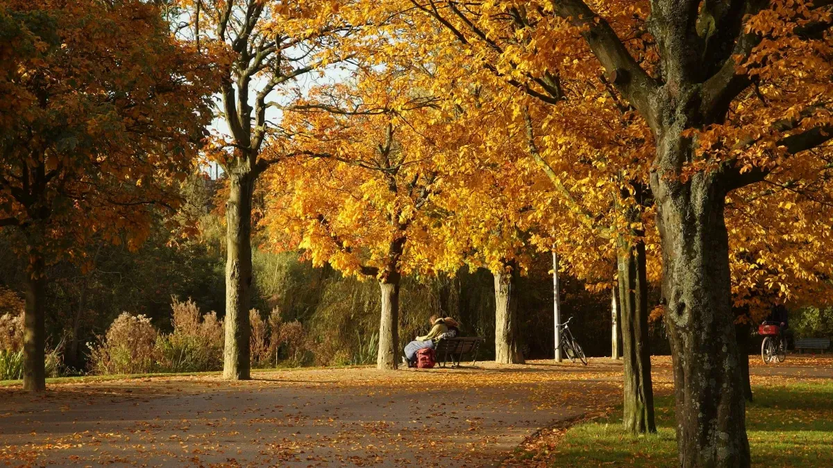 The Netherlands in autumn  Autumn in The Netherlands: 15 must-do's