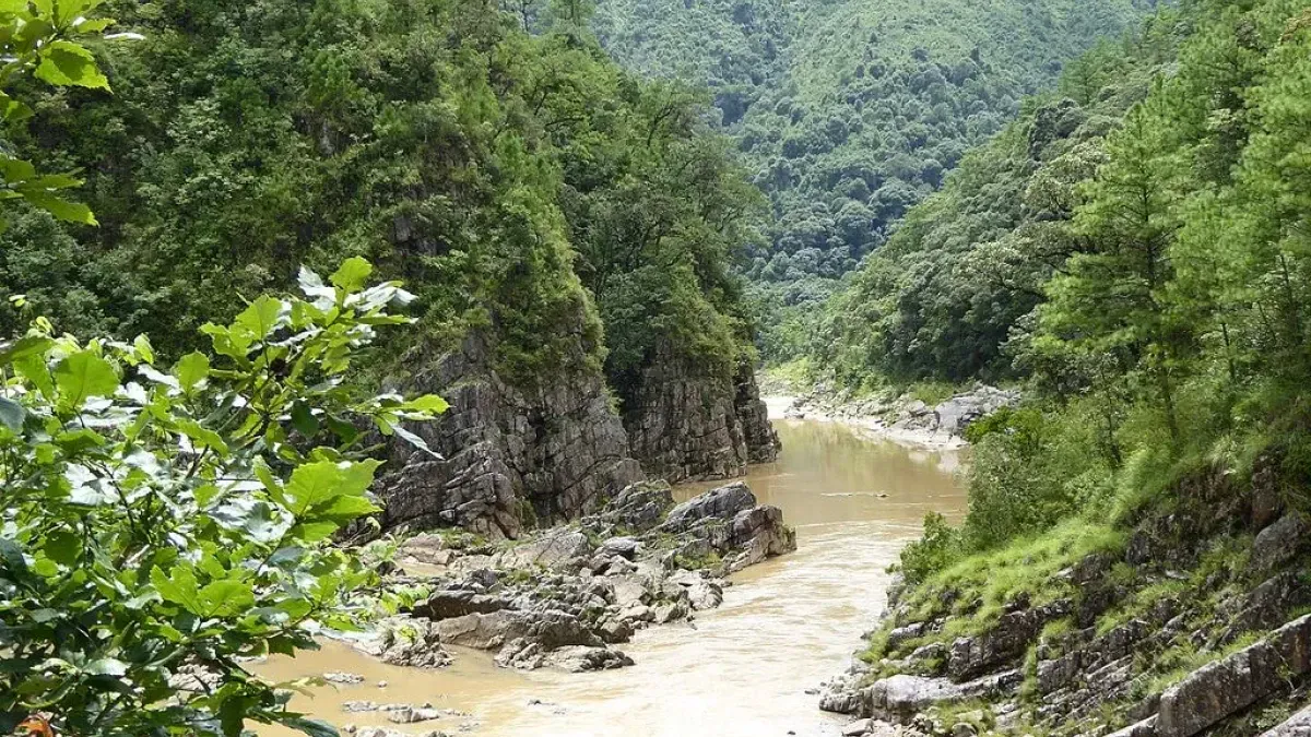 Mawphlang Sacred Grove - National forest - Nongrum - Meghalaya | Yappe.in