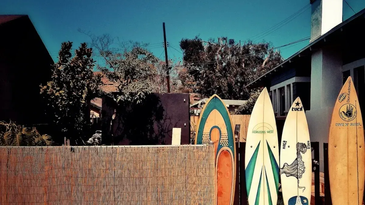 The Complete Dictionary of Surf Lingo - Everyday California