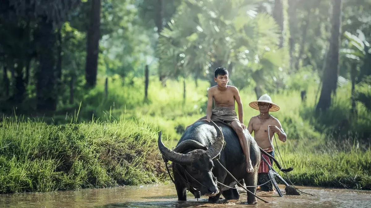 11 Things You Should Know About Lao Culture