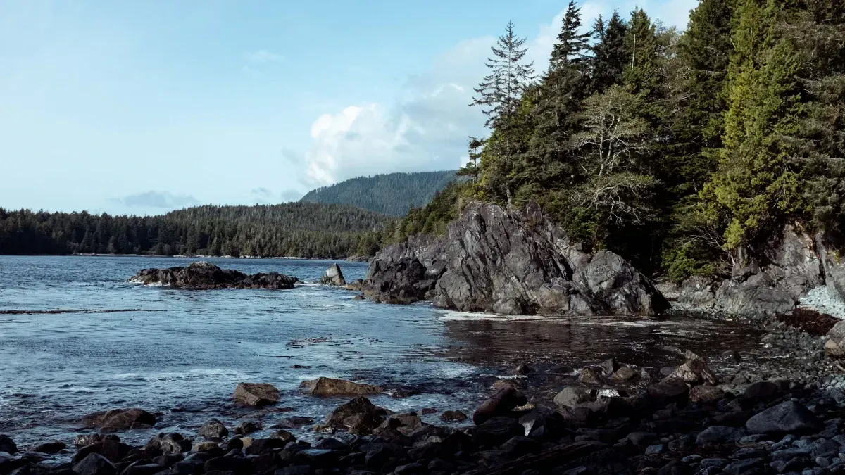 West Coast Of Vancouver Island, BC, British Columbia, Canada Rugged  Coastline Near Ucluelet, Pacific Northwest Stock Photo Alamy | Bc West  Coast | sincovaga.com.br