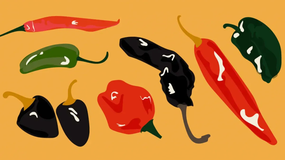Your Guide to the 10 Chile Peppers Most Likely to Show Up in a