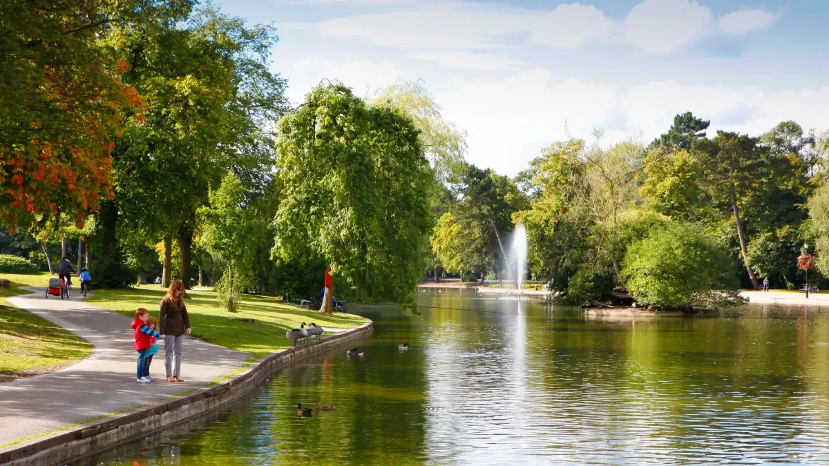 Beautiful sunny panorama of big lake with small fountains at center and  green trees and bushes around in city South park Stock Photo - Alamy