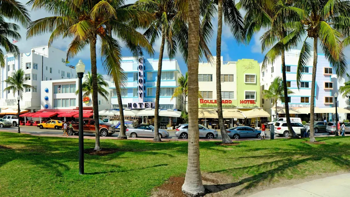 The Shop Driving Miami's Skate Culture Forward