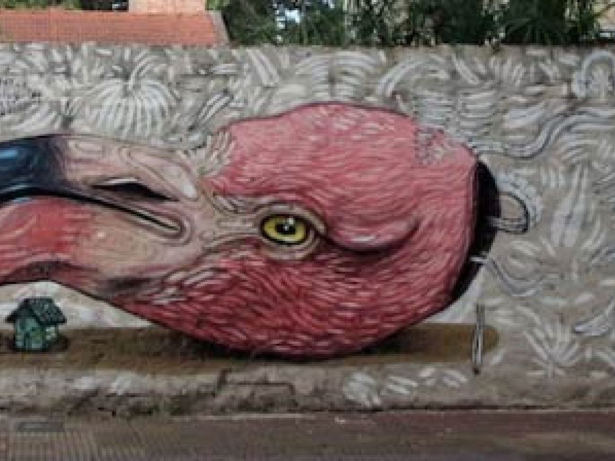 Buenos Aires Street Art Guide  20 Murals You Must See - Traverse