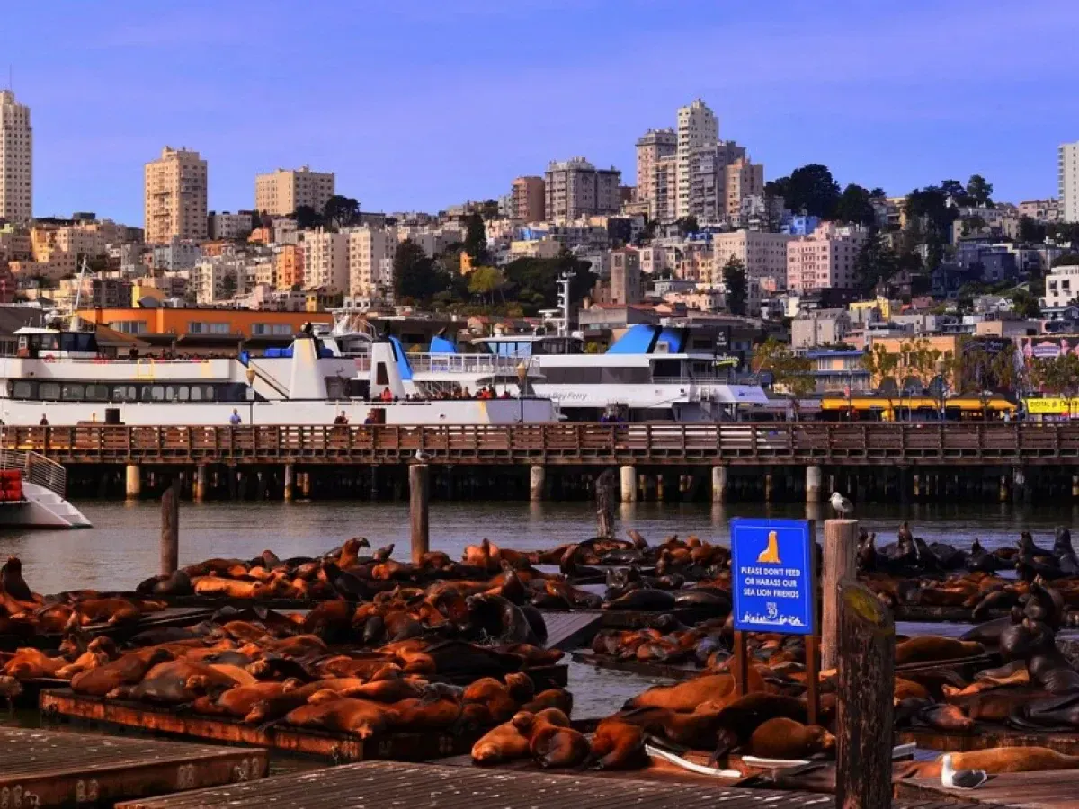 PIER 39  San Francisco CA