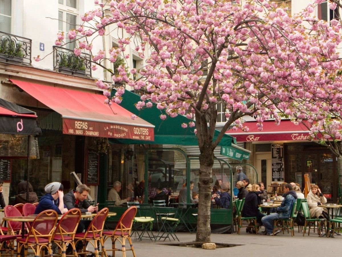 Best restaurants in Paris  Paris guide - Style My Trip