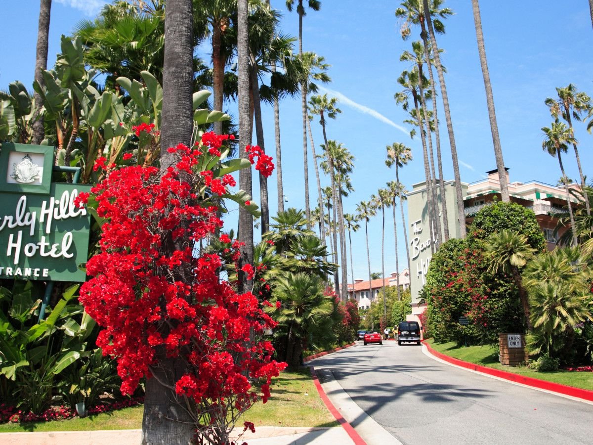 24-hour room service: The Beverly Hills Hotel, Los Angeles, The  Independent