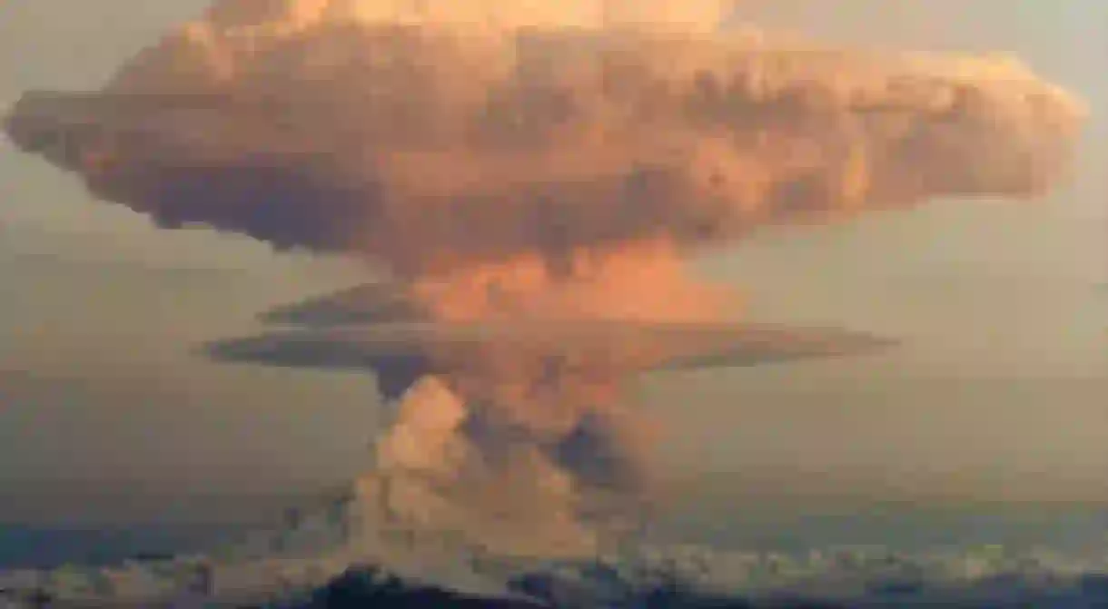 Mushroom Cloud /