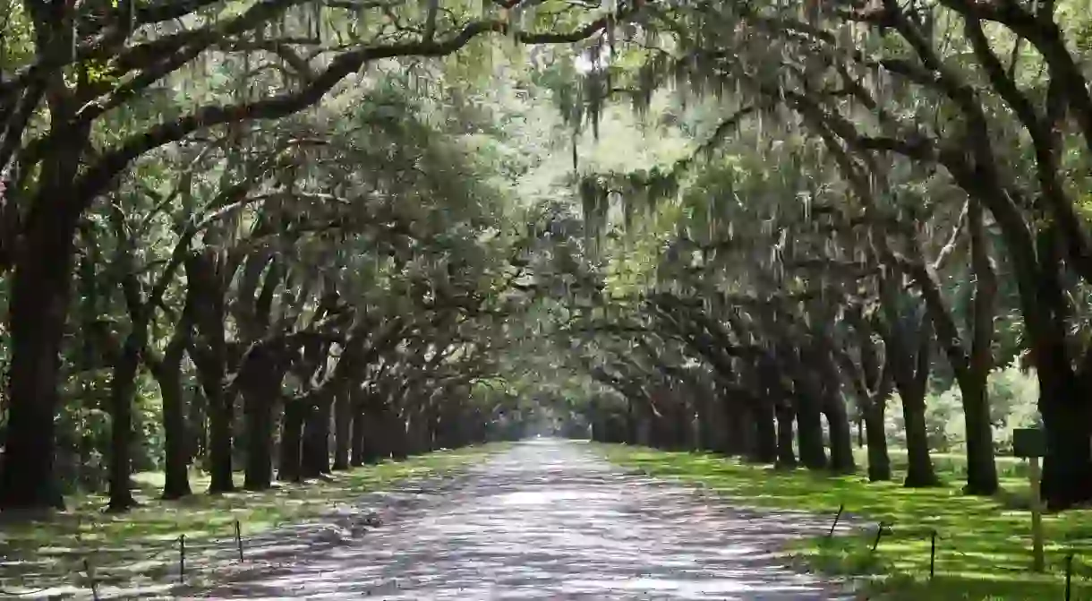 Savannah, Georgia