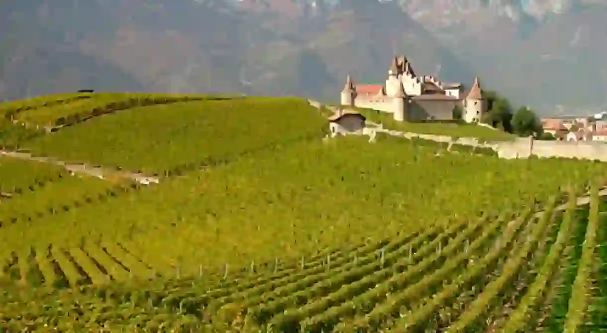 Swiss Vineyards