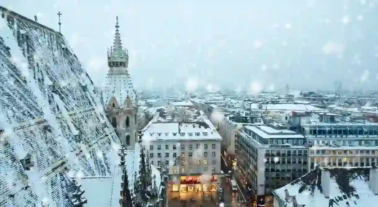 The mosaic tiles of the Stephansdom dusted with snow