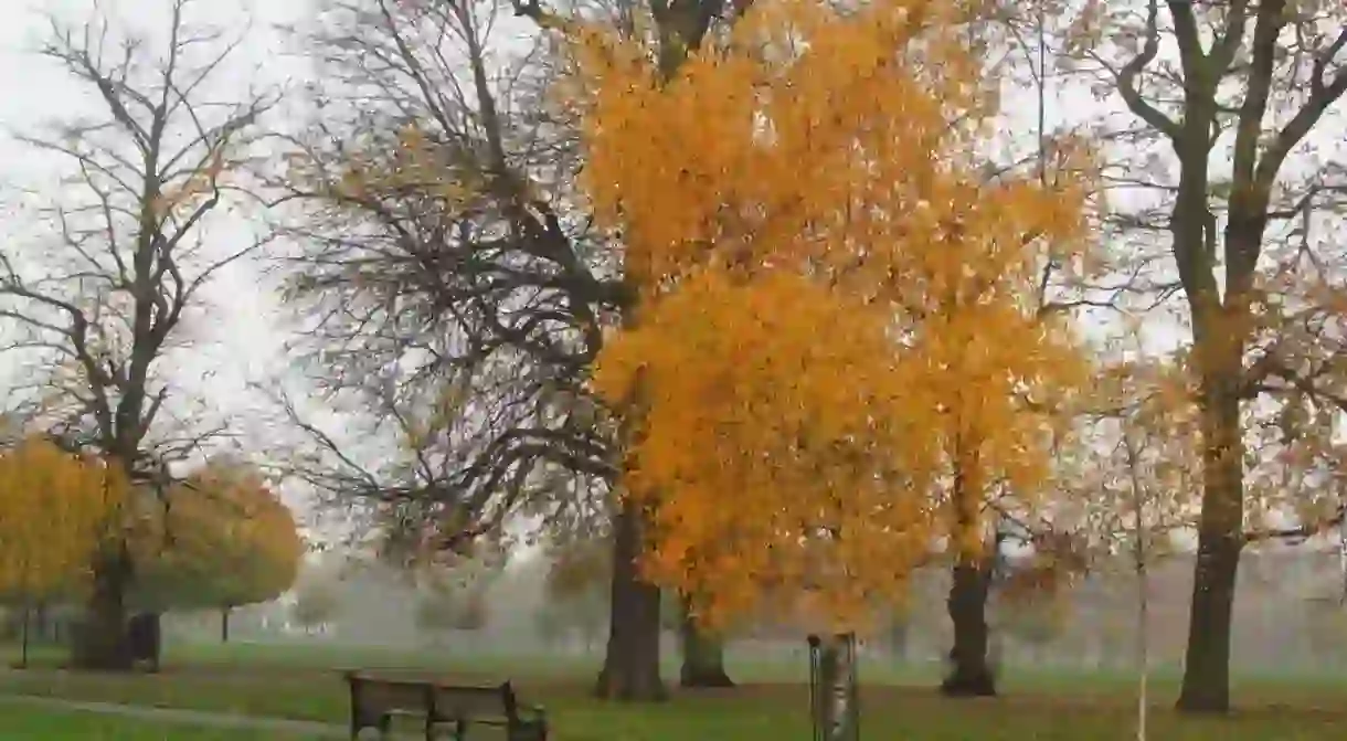 Clissold Park, Hackney