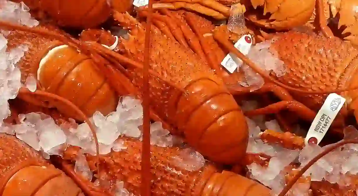 Fresh Lobster