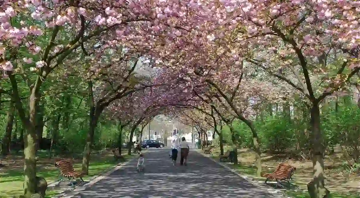 Park Josaphat Brussels