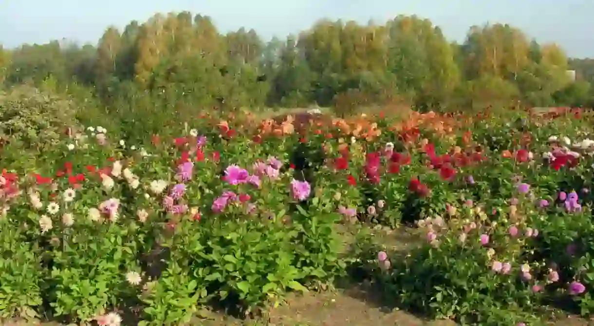 Vilnius University Botanical Gardens