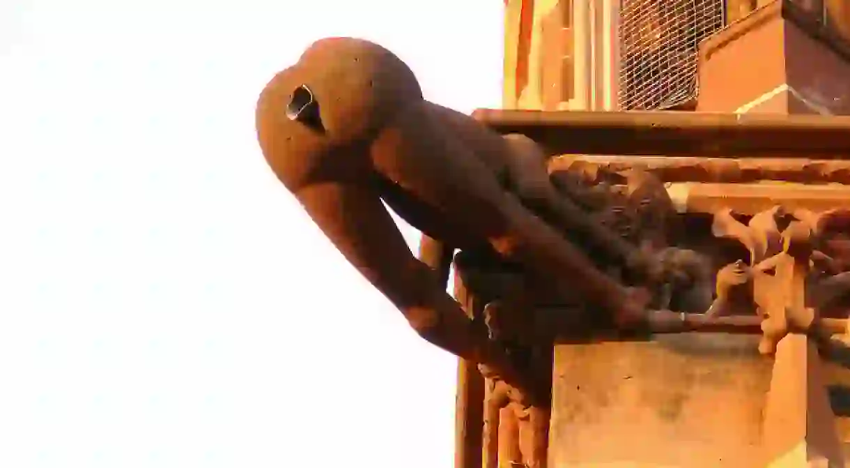 Gargoyle at Freiburg Cathedral, Germany