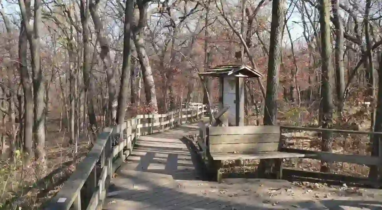 Fontenelle Forest Boardwalk Trails