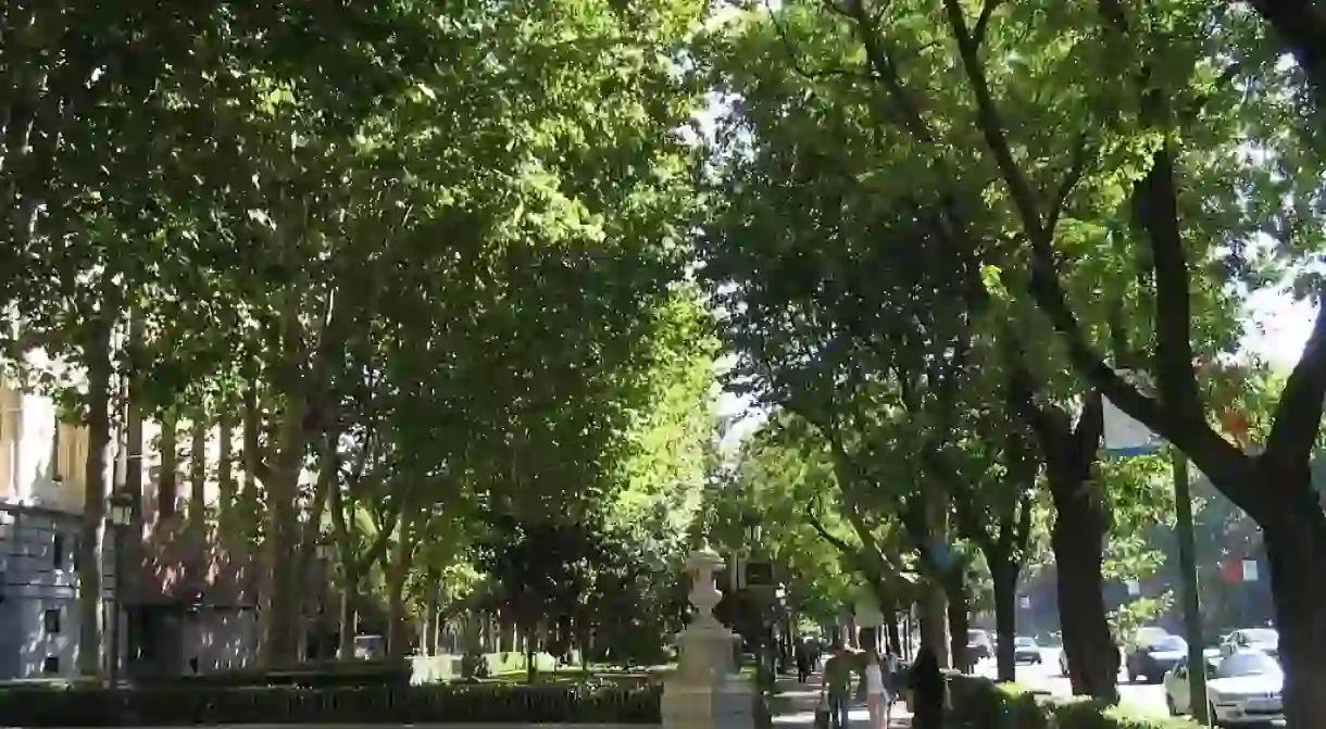 The Paseo del Prado