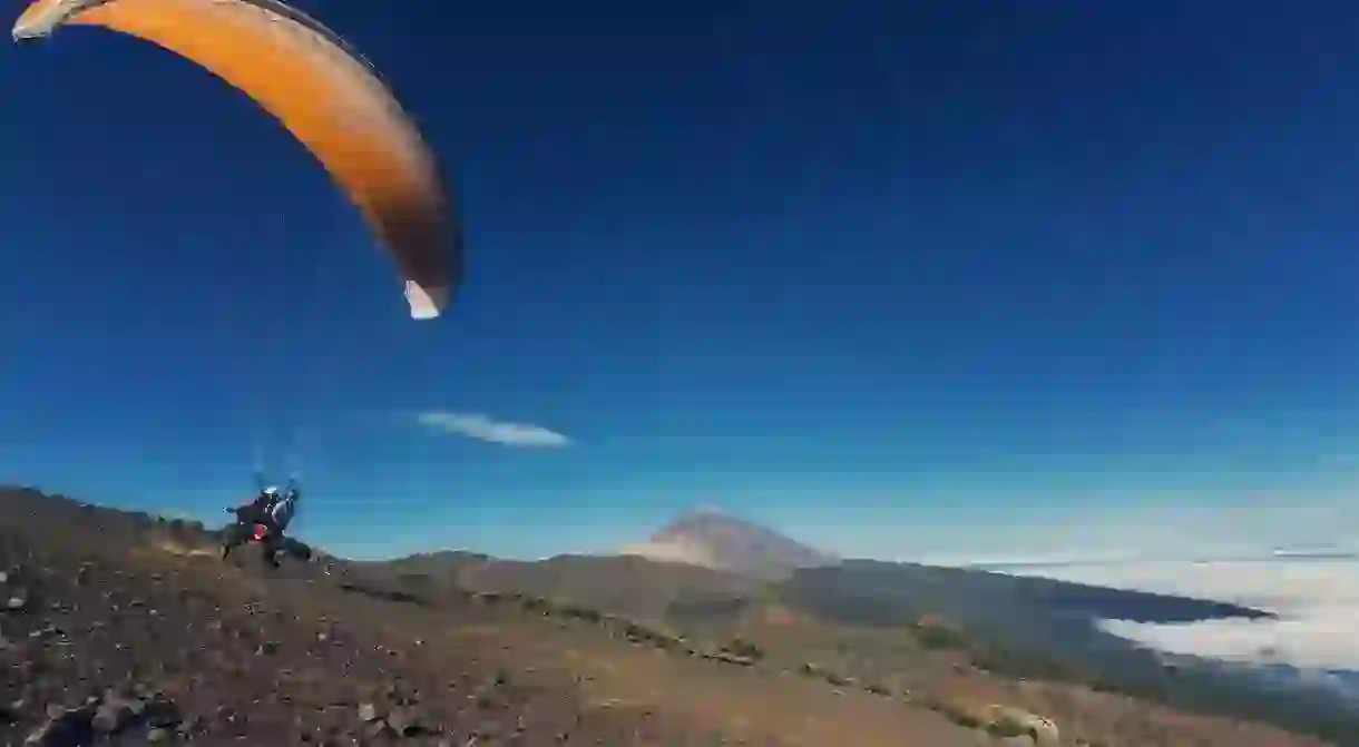 Flying through the park