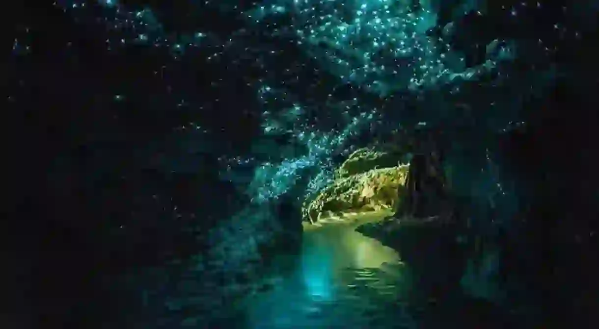 Waitomo Glow Worm Cave