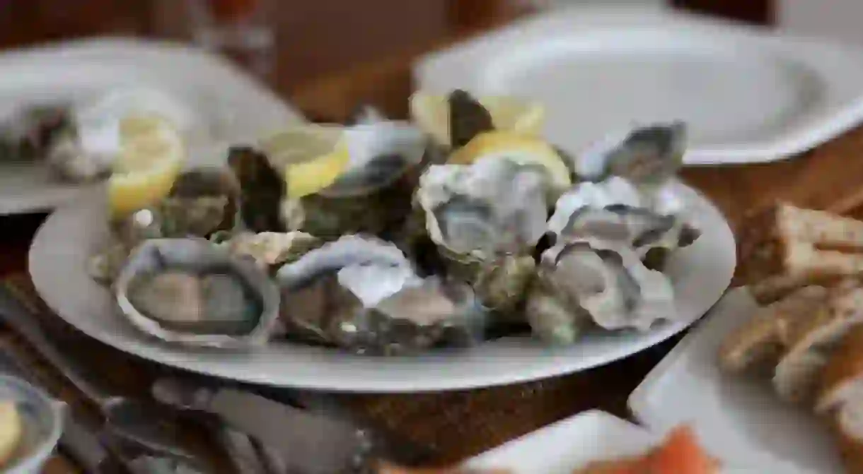 Oysters