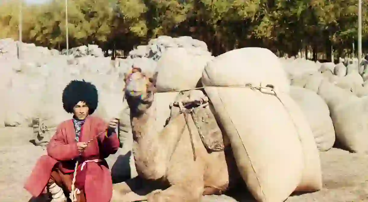 Turkmen man posing with camel loaded with sacks