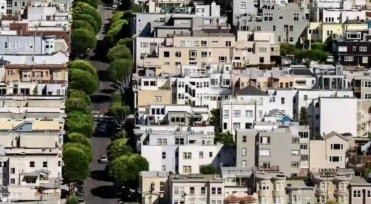 Greenery in San Francisco