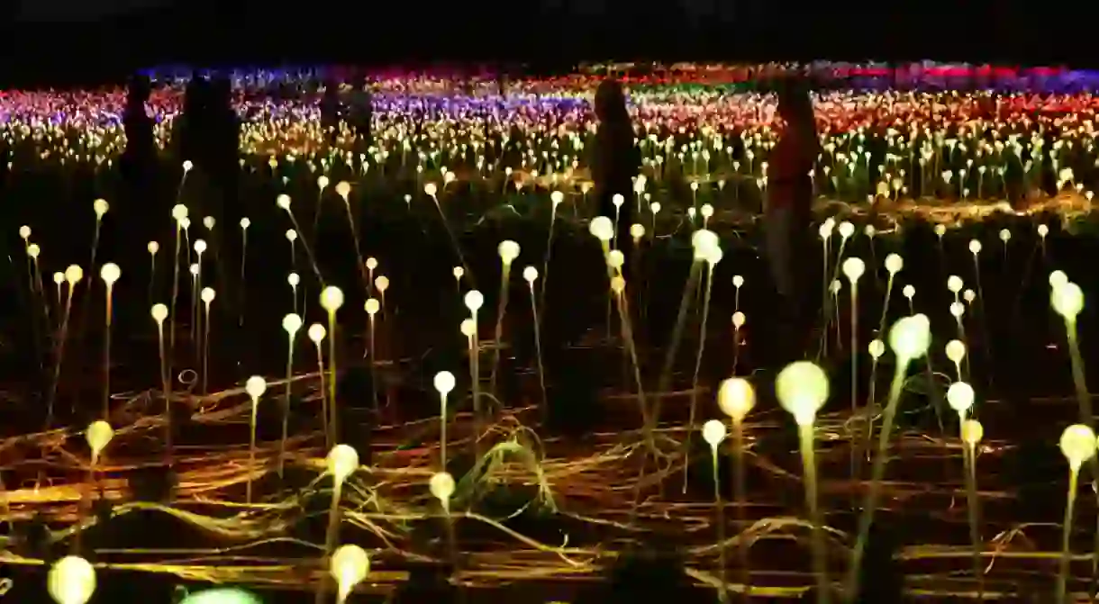 Field of Light, Uluru, Bruce Munro 2016