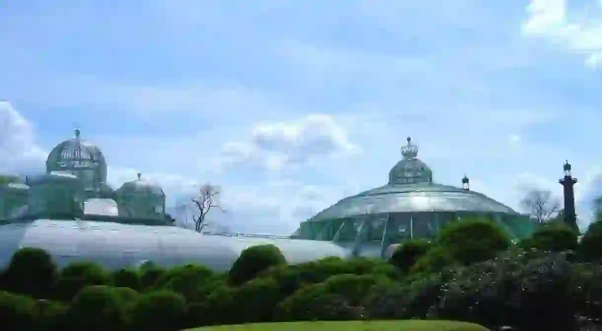 View on the Royal Greenhouses