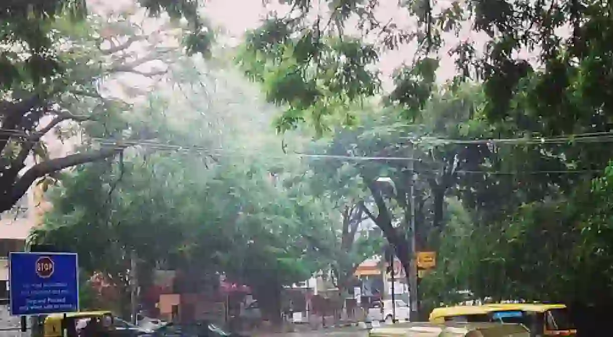 The tree-lined avanues of Indiranagar 100 ft Road (Photo: Kiran Ravikumar/Flickr)