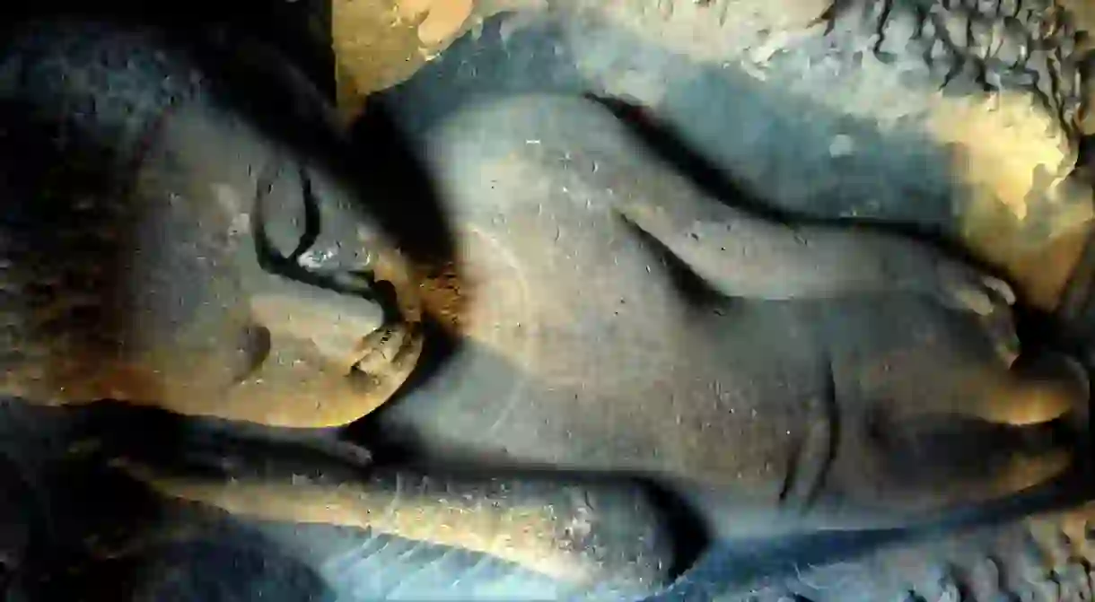 Reclining Buddha - Cave 26