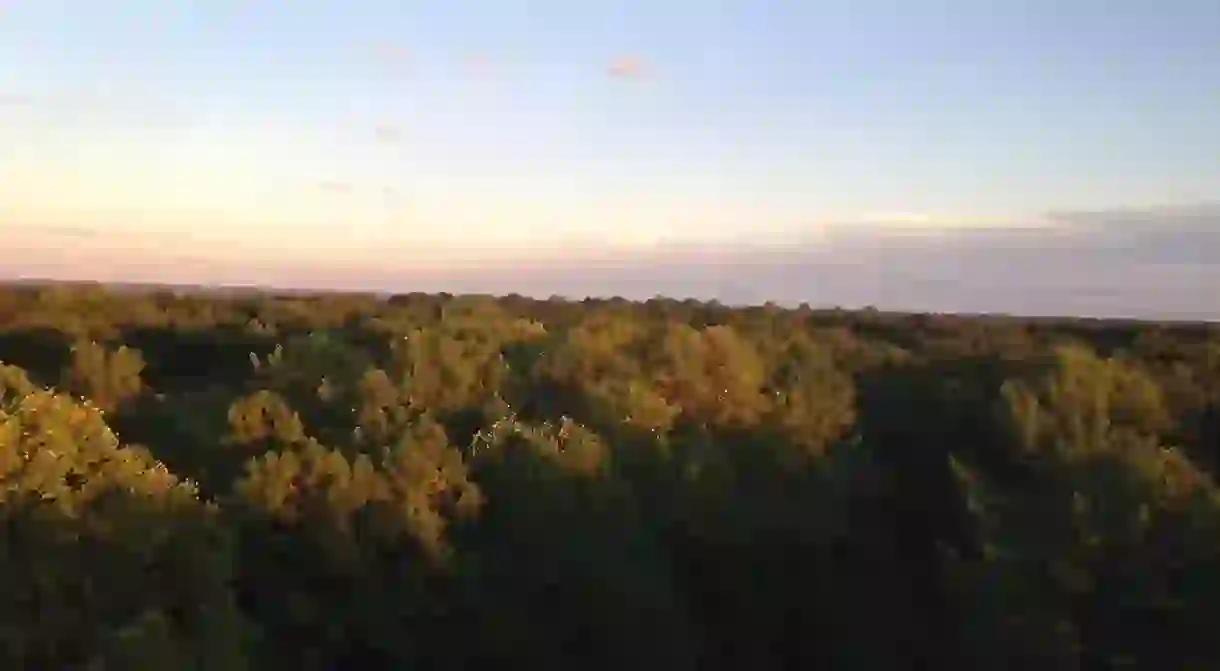 View from Hickory Ridge Fire Tower