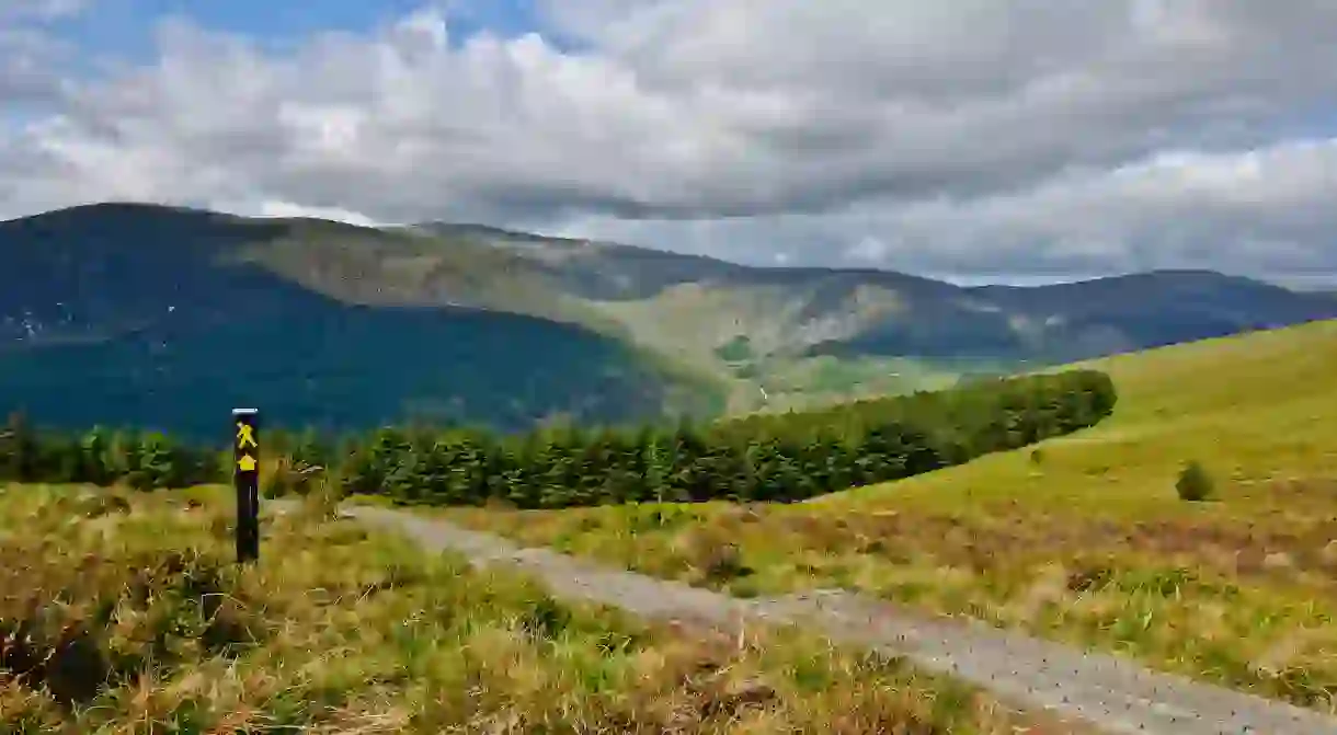 Wicklow Way Hiking Trail