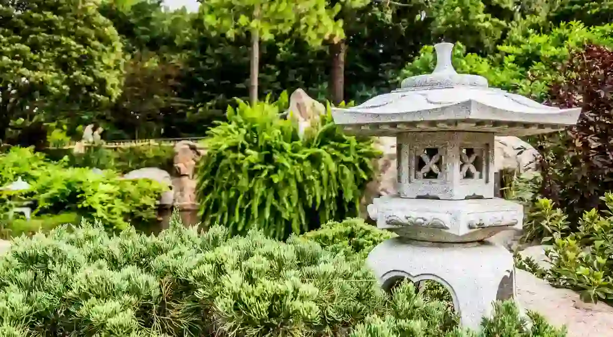 A beautiful South Florida Garden