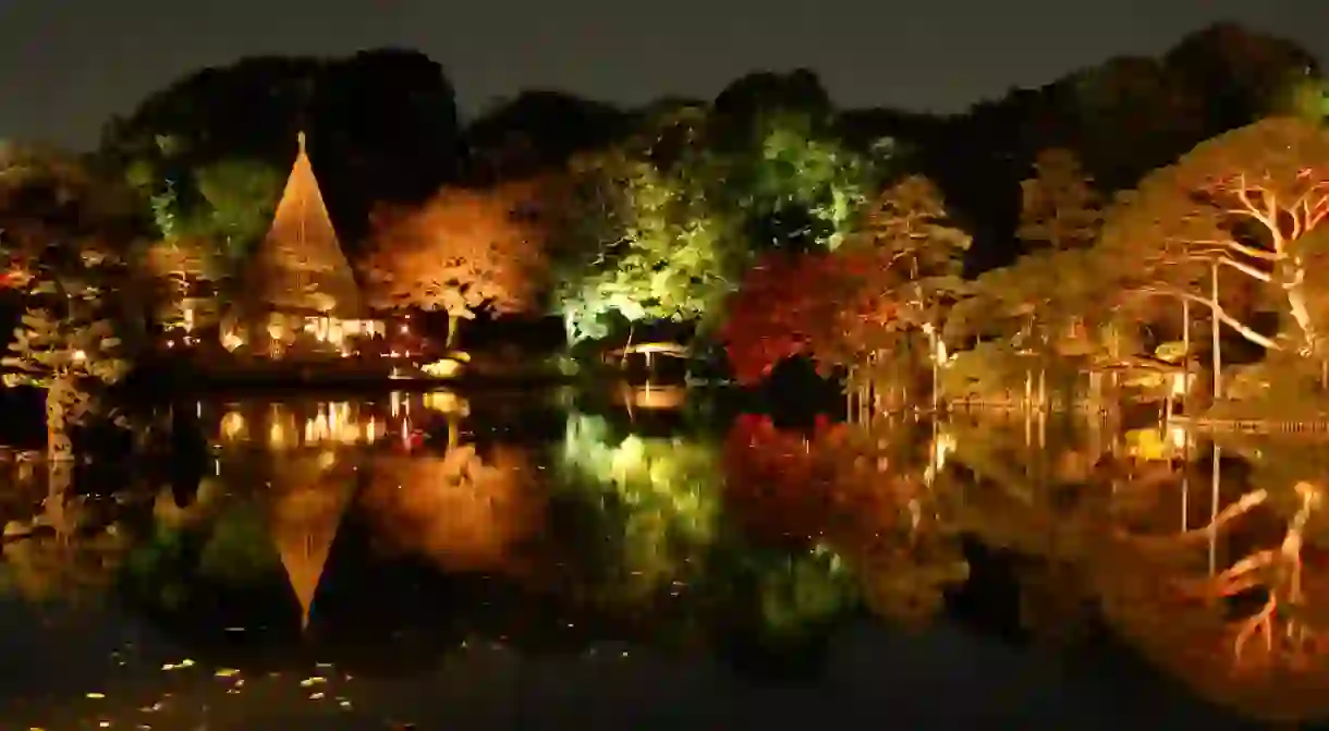 Autumn momiji light display at Rikugien