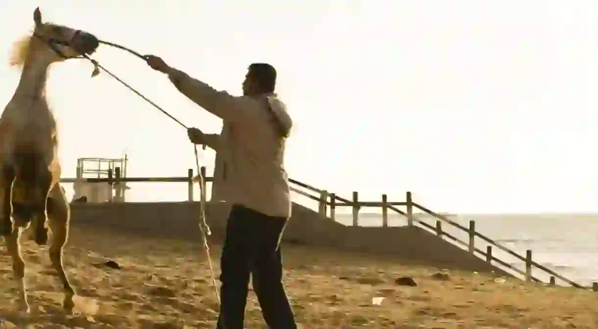 Horse training on Gaza Beach