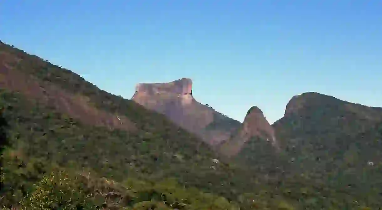 The Tijuca rainforest in Rio de Janerio