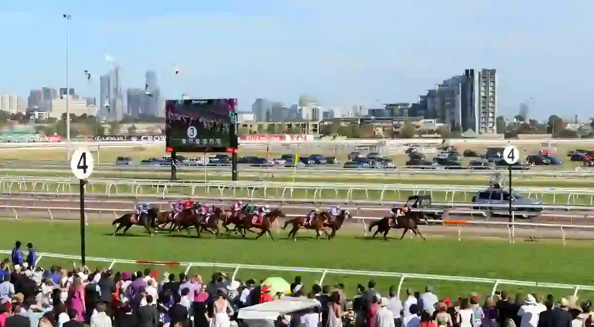 Melbourne Cup in 2013