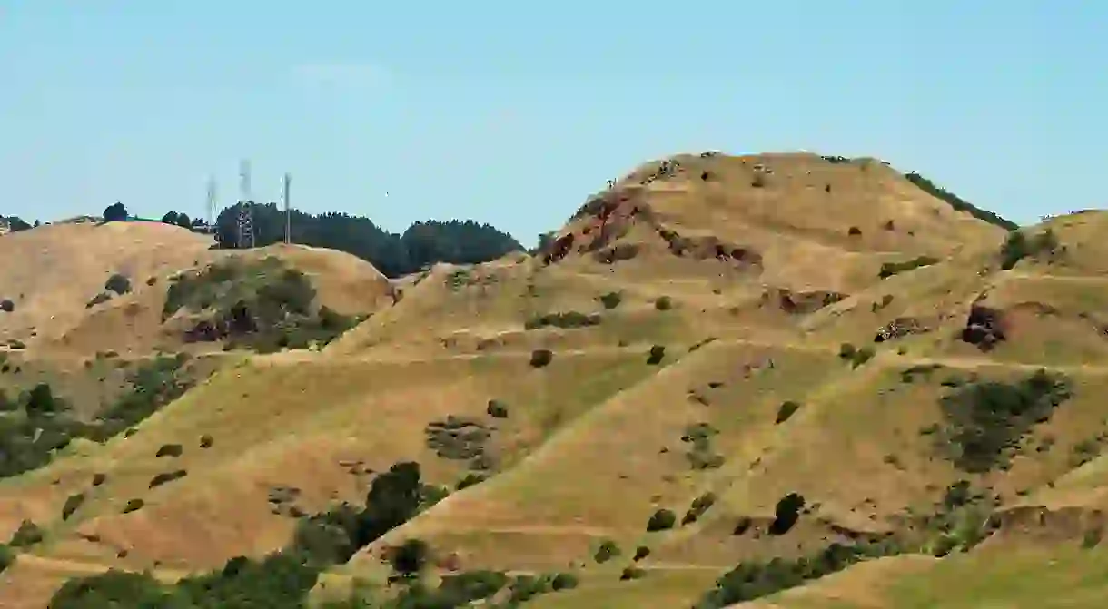 Sibley Volcanic Regional Preserve