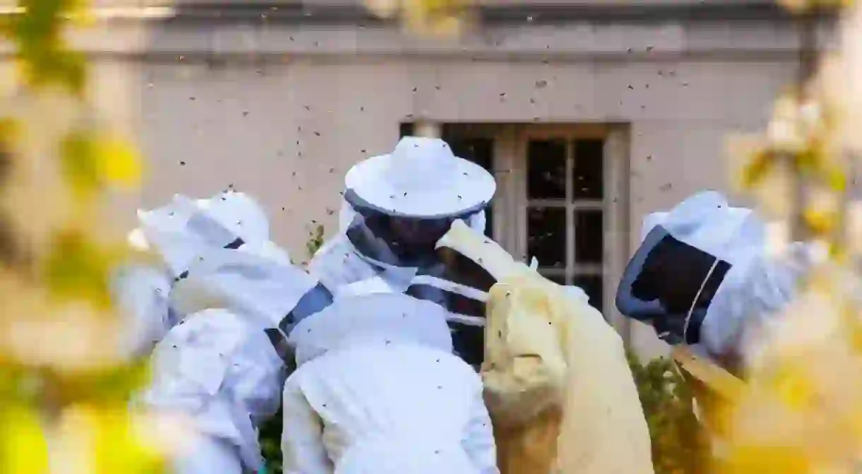 Beekeepers in Paris │