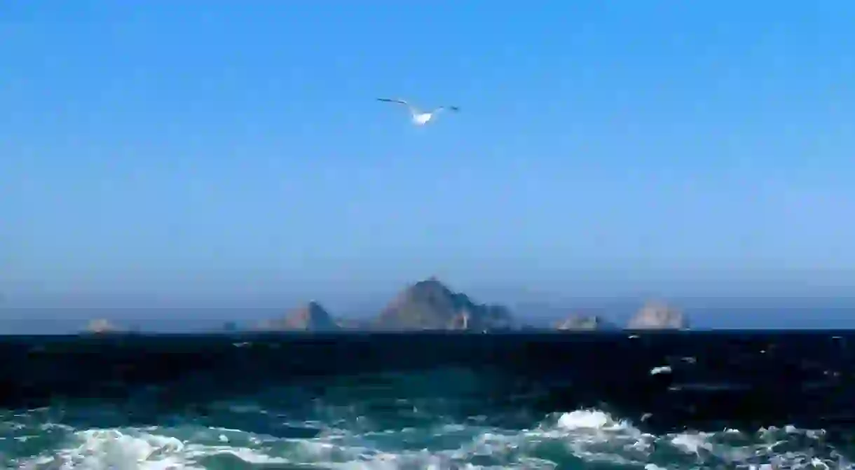 Farallon Islands