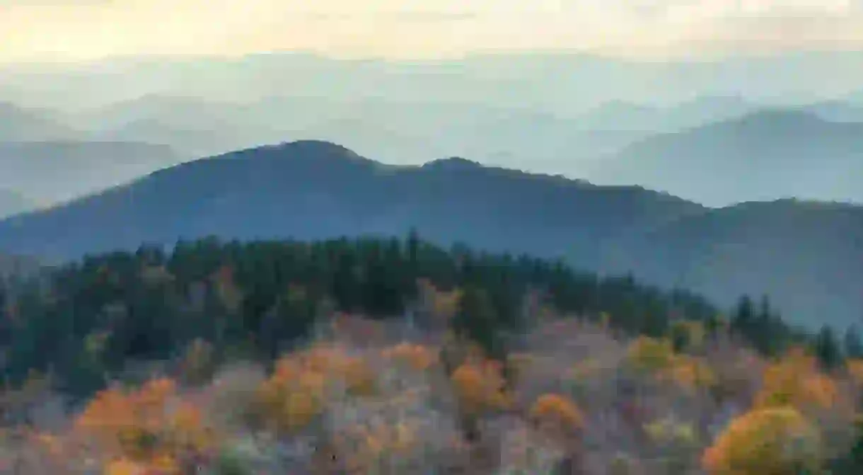 Cowee Mountain Overlook, Blue Ridge Parkway