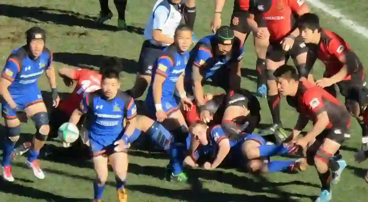 Toshiba Brave Lupus during the Top League Final, 2015-16