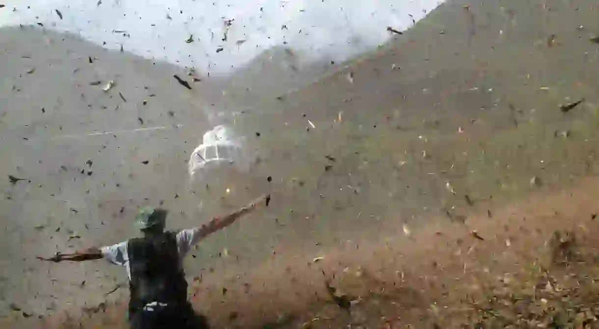 A helicopter lands in the Peruvian rainforest