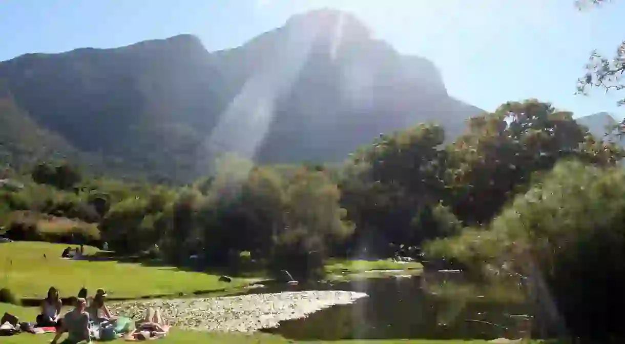 Picnicking at Kirstenbosch Botanical Garden