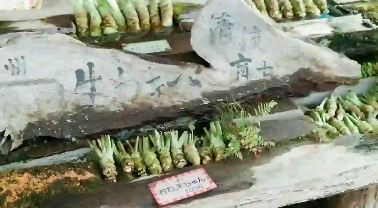 Wasabi for sale in Nagano, Japan