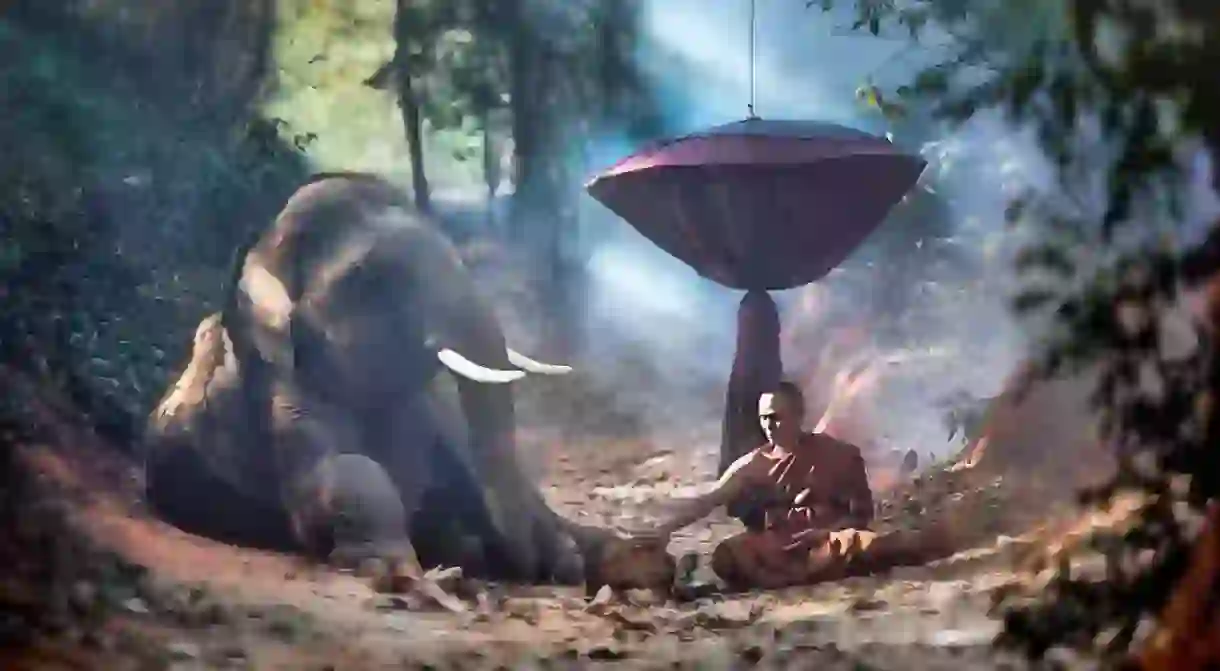 The old monk with a young elephant in the forest