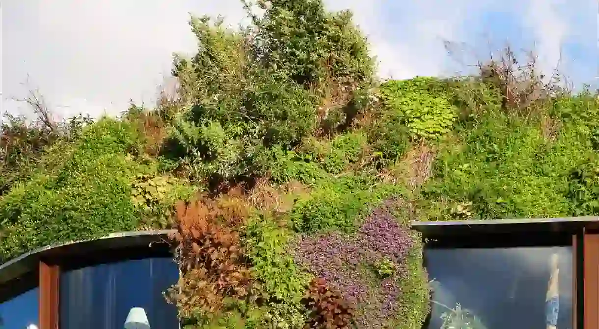 The living wall at the Musée du quai Branly │