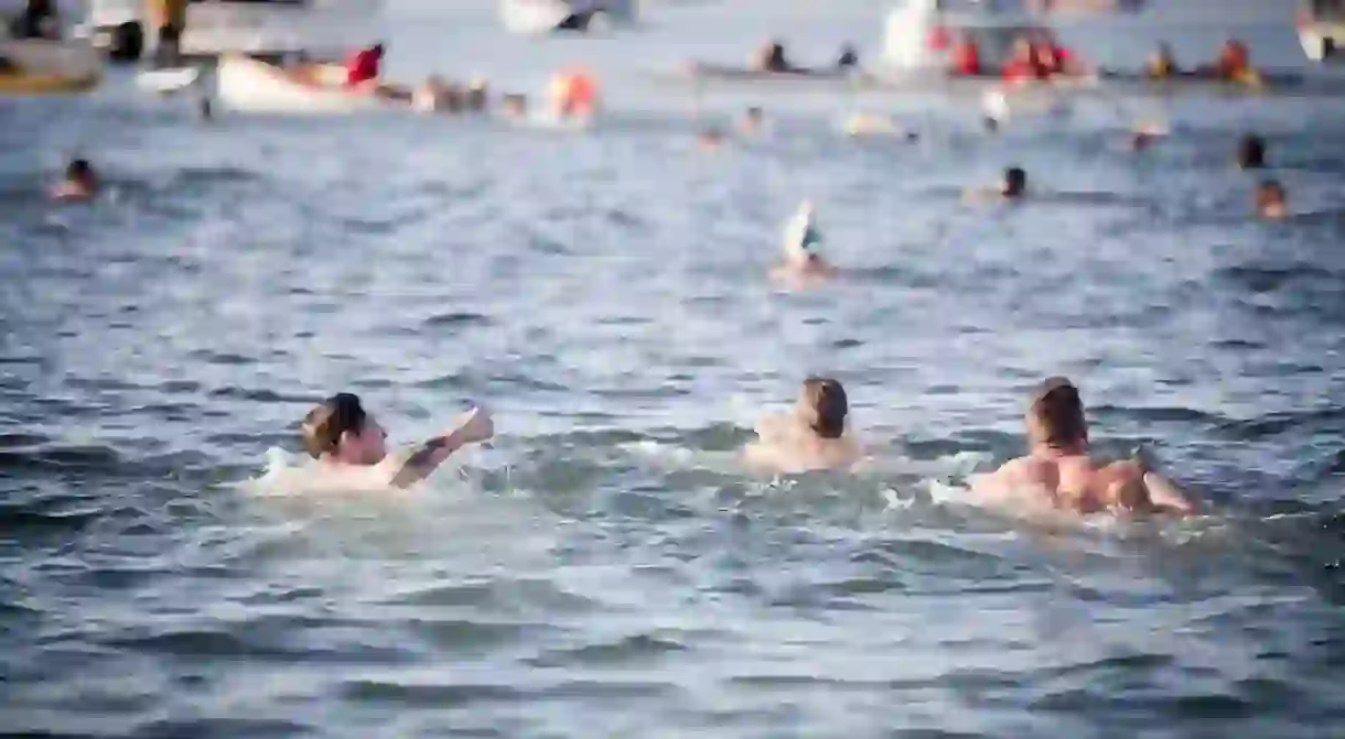 Polar Bear Swim 2015